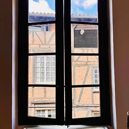 Guest house La Maison Du Prevot Albi
