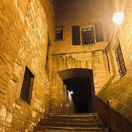 La Maison Du Prevot Albi