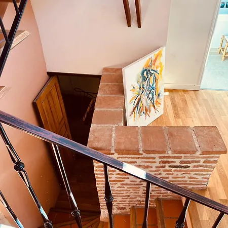 La Maison Du Prevot * Albi