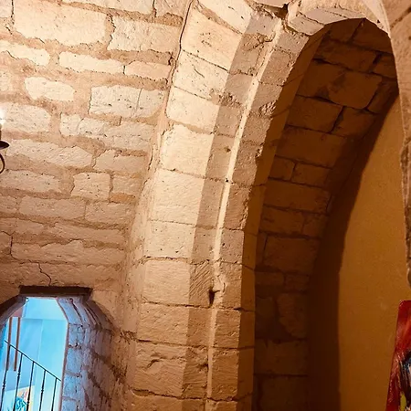 La Maison Du Prevot Guest house Albi