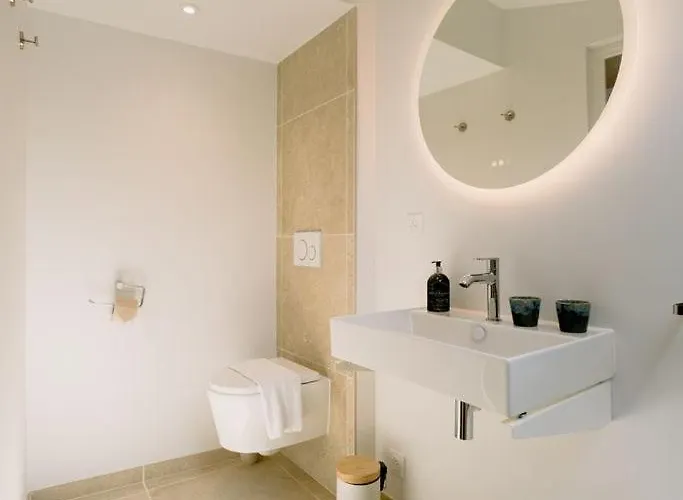 La Maison Du Prevot - Maison D Hotes De Charme Au Pied De La Cathedrale Sainte Cecile D La Maison Du Prevot - Charming At Foot Of Cathedral Гостевой дом 3*